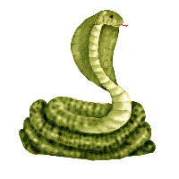 serpiente53.gif