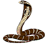 serpiente67.gif
