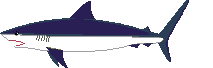 tiburon09.gif