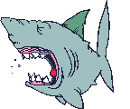 tiburon13.gif