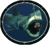 tiburon27.gif