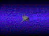 tiburon30.gif
