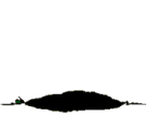 topo02.gif