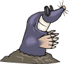 topo06.gif