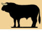toro05.gif