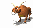 toro22.gif