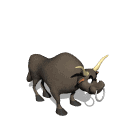 toro23.gif