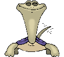 tortuga05.gif