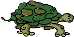 tortuga08.gif