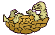 tortuga22.gif