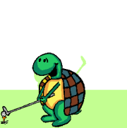 tortuga24.gif