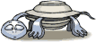 tortuga37.gif