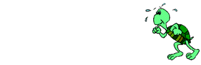 tortuga45.gif