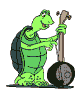 tortuga61.gif