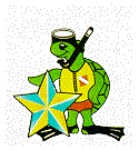 tortuga71.gif