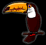 tucan01.gif