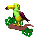 tucan03.gif