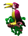 tucan04.gif