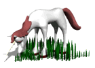 unicornio01.gif