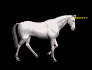 unicornio08.gif