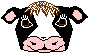 vaca03.gif
