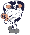 vaca09.gif