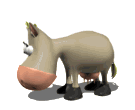 vaca104.gif