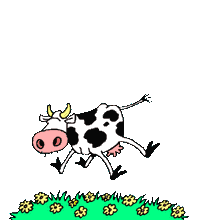 vaca105.gif