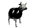 vaca113.gif