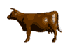 vaca116.gif