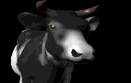 vaca120.gif