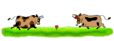 vaca126.gif
