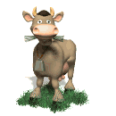 vaca25.gif
