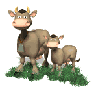 vaca90.gif