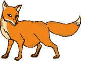 zorro02.gif