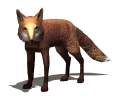 zorro08.gif