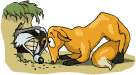 zorro15.gif