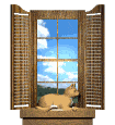ventana-15.gif