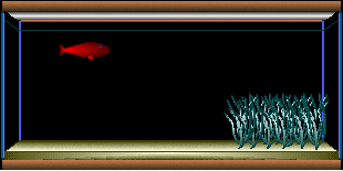 acuario-06.gif