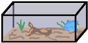 acuario-07.gif