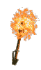 antorcha-03.gif