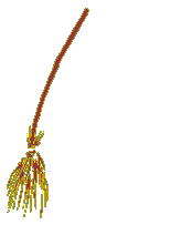 escoba-01.gif