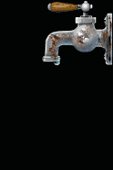 grifo-07.gif