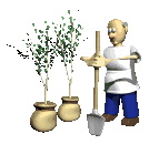 jardin-18.gif