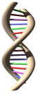 ADN-07.gif