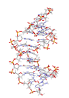 ADN-08.gif