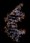 ADN-09.gif