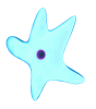 Ameba-02.gif