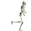 Anatomia-03.gif