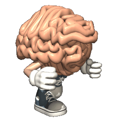 Anatomia-06.gif